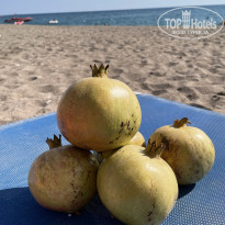 фото из отзыва ID 2641015