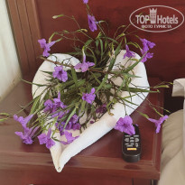 фото из отзыва ID 2641018