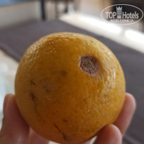 фото из отзыва ID 2641060