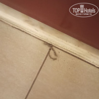 фото из отзыва ID 2641060