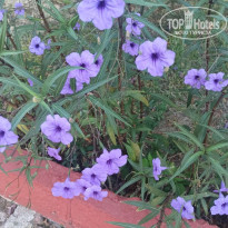 фото из отзыва ID 2641060