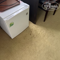 фото из отзыва ID 2641062