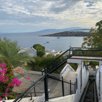 фото из отзыва ID 2641180