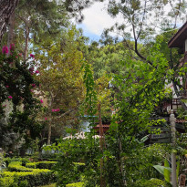 фото из отзыва ID 2641199