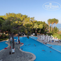 фото из отзыва ID 2641199