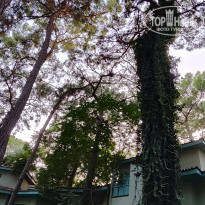 фото из отзыва ID 2641199