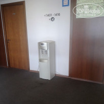 фото из отзыва ID 2641211