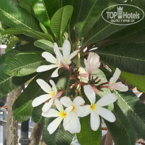 фото из отзыва ID 2641238