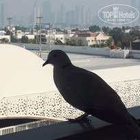 фото из отзыва ID 2641238