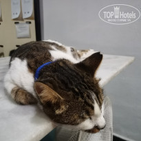 фото из отзыва ID 2641323