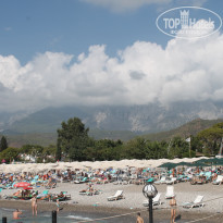 фото из отзыва ID 2640975