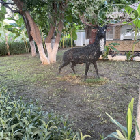 фото из отзыва ID 2640975