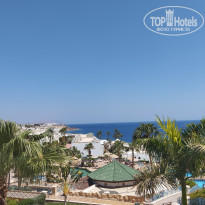 фото из отзыва ID 2641514