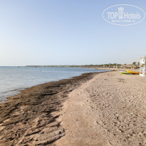 фото из отзыва ID 2641599