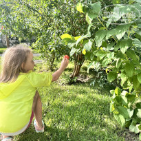 фото из отзыва ID 2641776