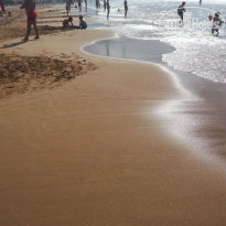 фото из отзыва ID 2641788