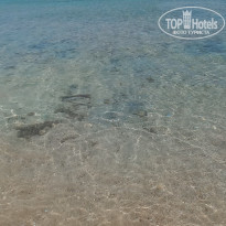 фото из отзыва ID 2641818