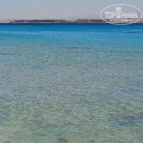 фото из отзыва ID 2641818