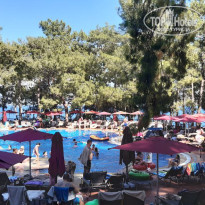 фото из отзыва ID 2641842