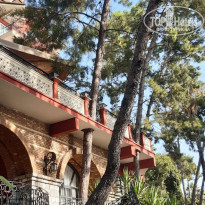 фото из отзыва ID 2641842