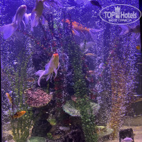 фото из отзыва ID 2641846