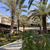 фото из отзыва ID 2641846