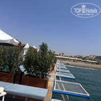 фото из отзыва ID 2641846