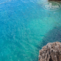 фото из отзыва ID 2641844