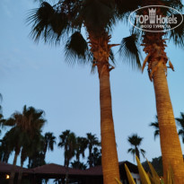 фото из отзыва ID 2641875