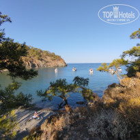 фото из отзыва ID 2641875