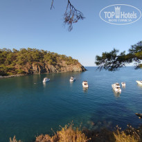 фото из отзыва ID 2641875