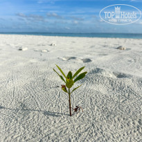 фото из отзыва ID 2641962