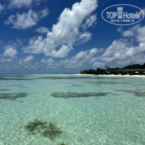 фото из отзыва ID 2641962