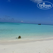 фото из отзыва ID 2641962