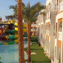 фото из отзыва ID 2640268