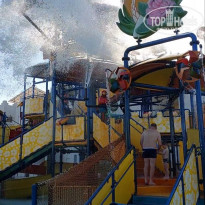 фото из отзыва ID 2640268