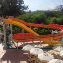 фото из отзыва ID 2642107