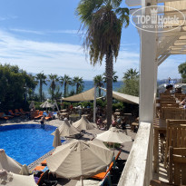 фото из отзыва ID 2642152