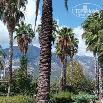 фото из отзыва ID 2642176