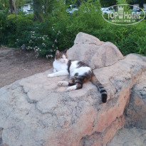 фото из отзыва ID 2642176