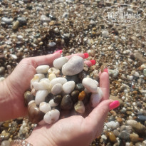 фото из отзыва ID 2642206