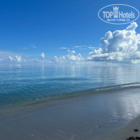 фото из отзыва ID 2642229