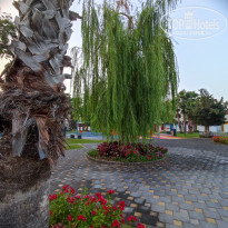 фото из отзыва ID 2642301