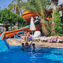 фото из отзыва ID 2642301