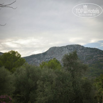 фото из отзыва ID 2642331