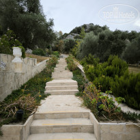 фото из отзыва ID 2642331