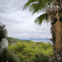 фото из отзыва ID 2642331