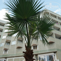 фото из отзыва ID 2642456