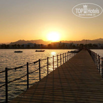 фото из отзыва ID 2642464