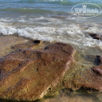 фото из отзыва ID 2642435